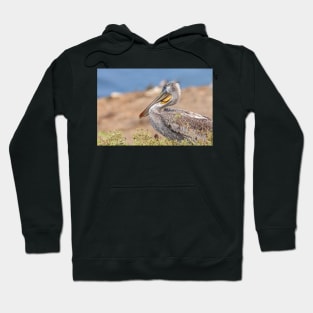 Brown Pelican Hoodie